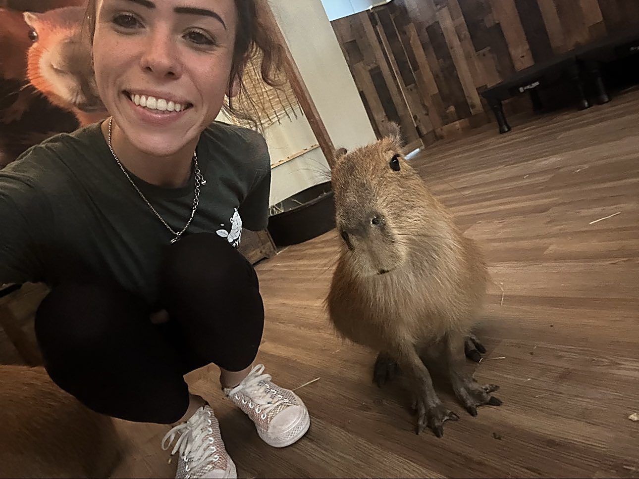A staff member and a capybara say hello during a session.