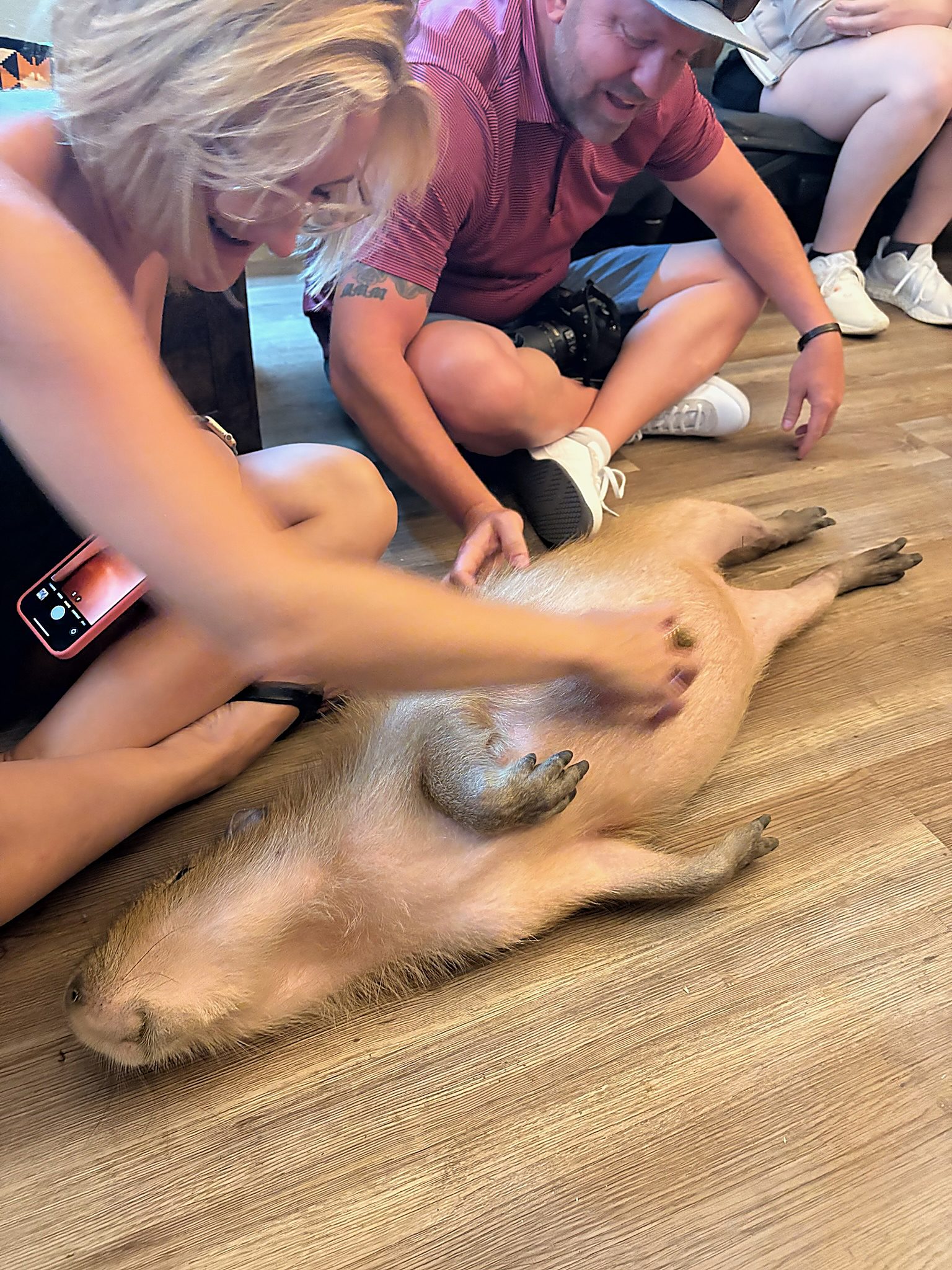 Guests kneeling down to pet a capybara stretched out on the floor during a group session.