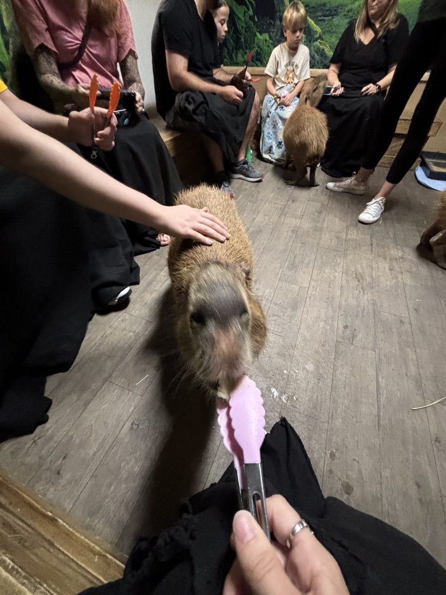 A group feeding session with guests taking turns using feeding tongs.